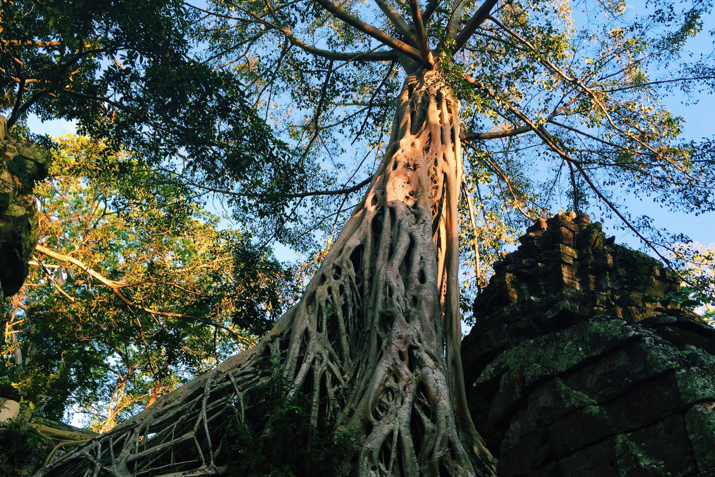 Ta Prohm