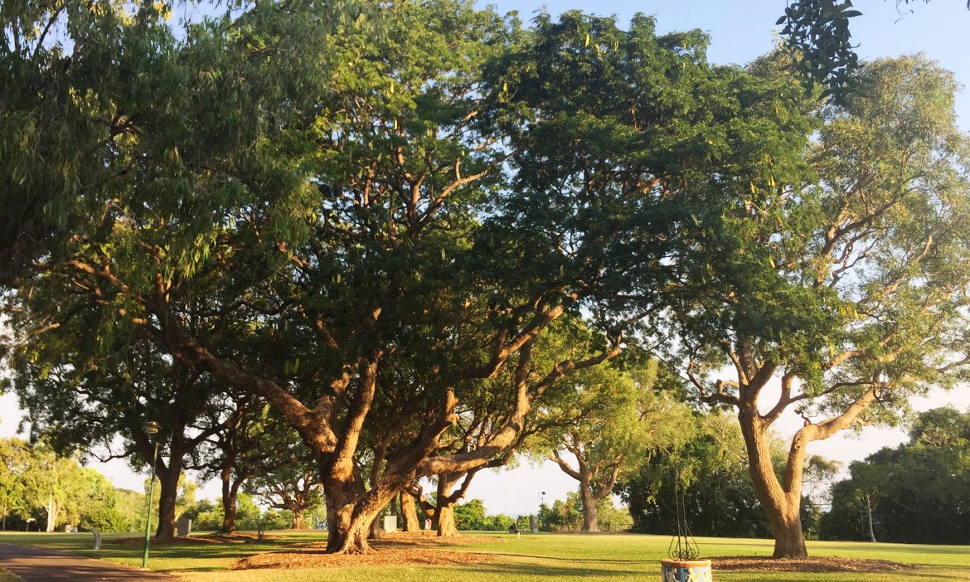 Bicentennial Park