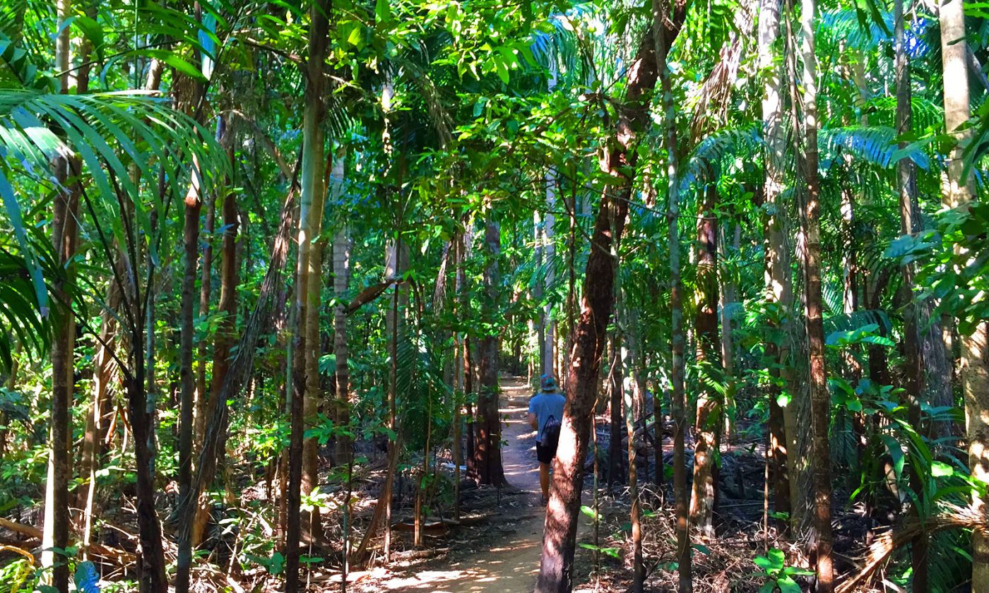 Wangi Falls Walk