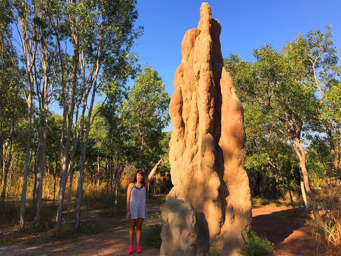 Me vs the biggest termite mound in Litchfield National Park