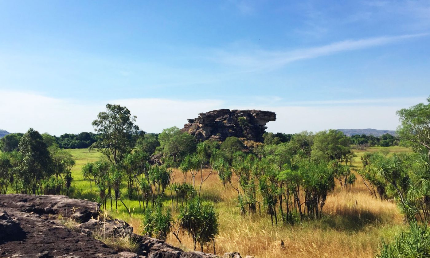 The landscape makes me feel like I am in Lion King! No lions here though...