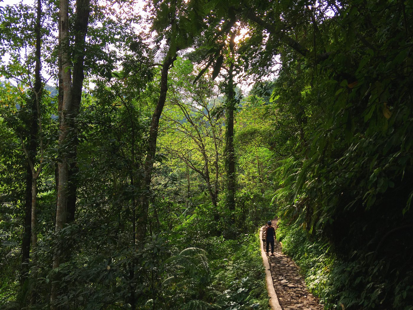 Mount Rinjani Trekking - Walking to Tiu Kelep