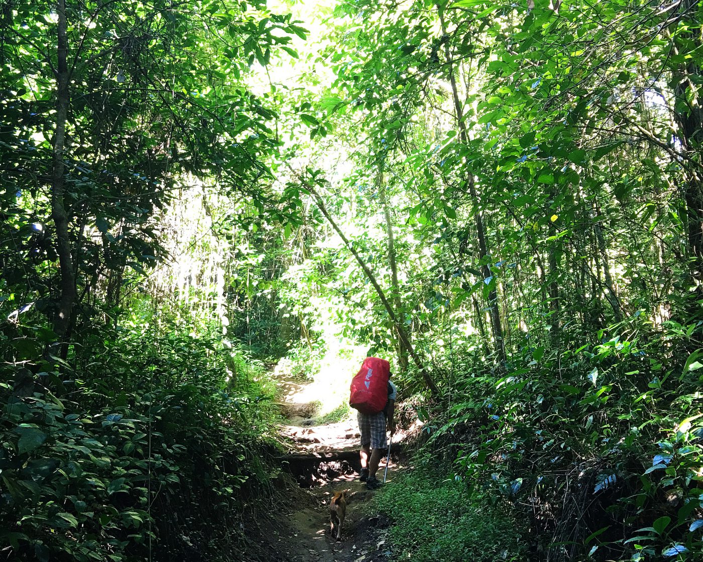 Mount Rinjani Trekking