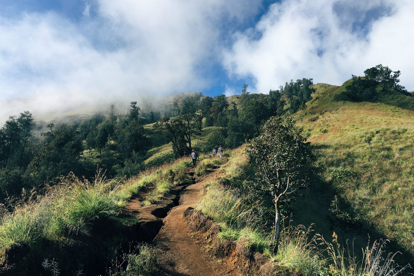 Mount Rinjani Trekking