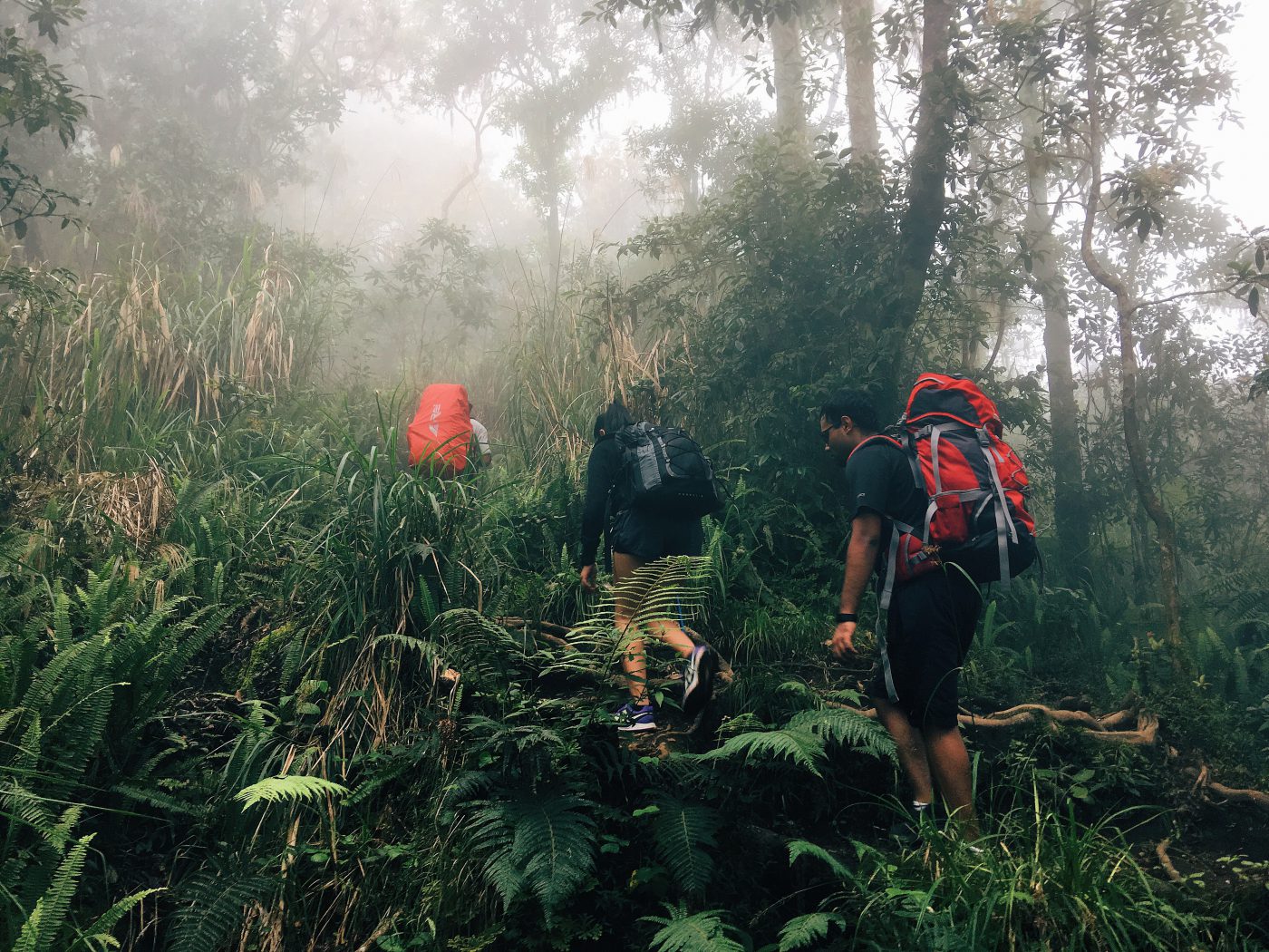 Mount Rinjani Trekking