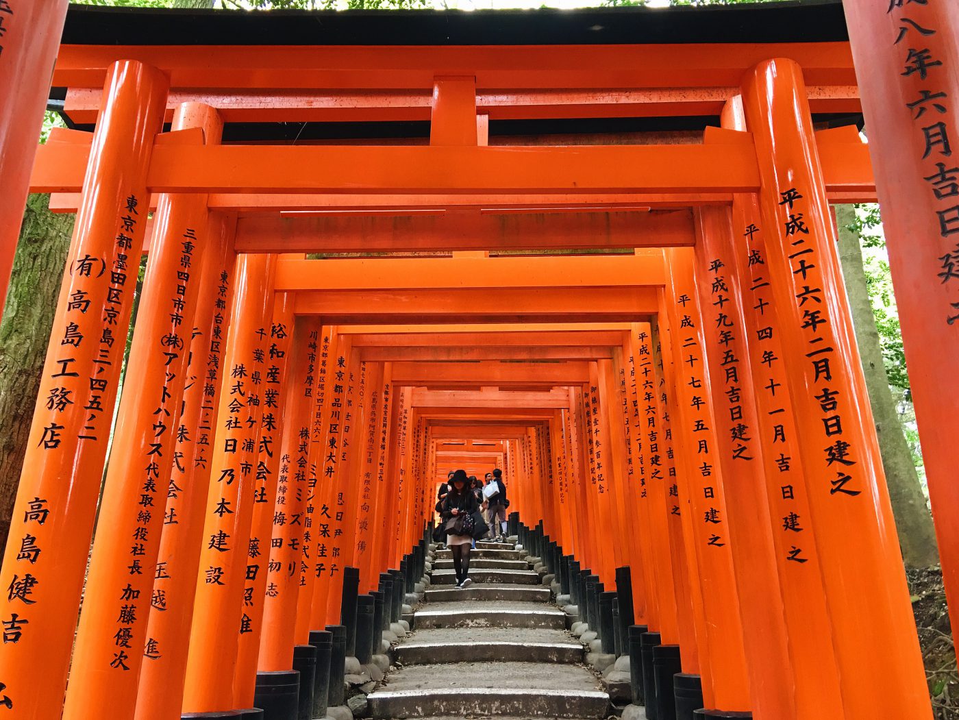 The rows after rows of torii gates at Fushimi Inari