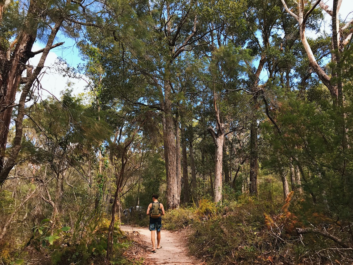 Walking back to the picnic area