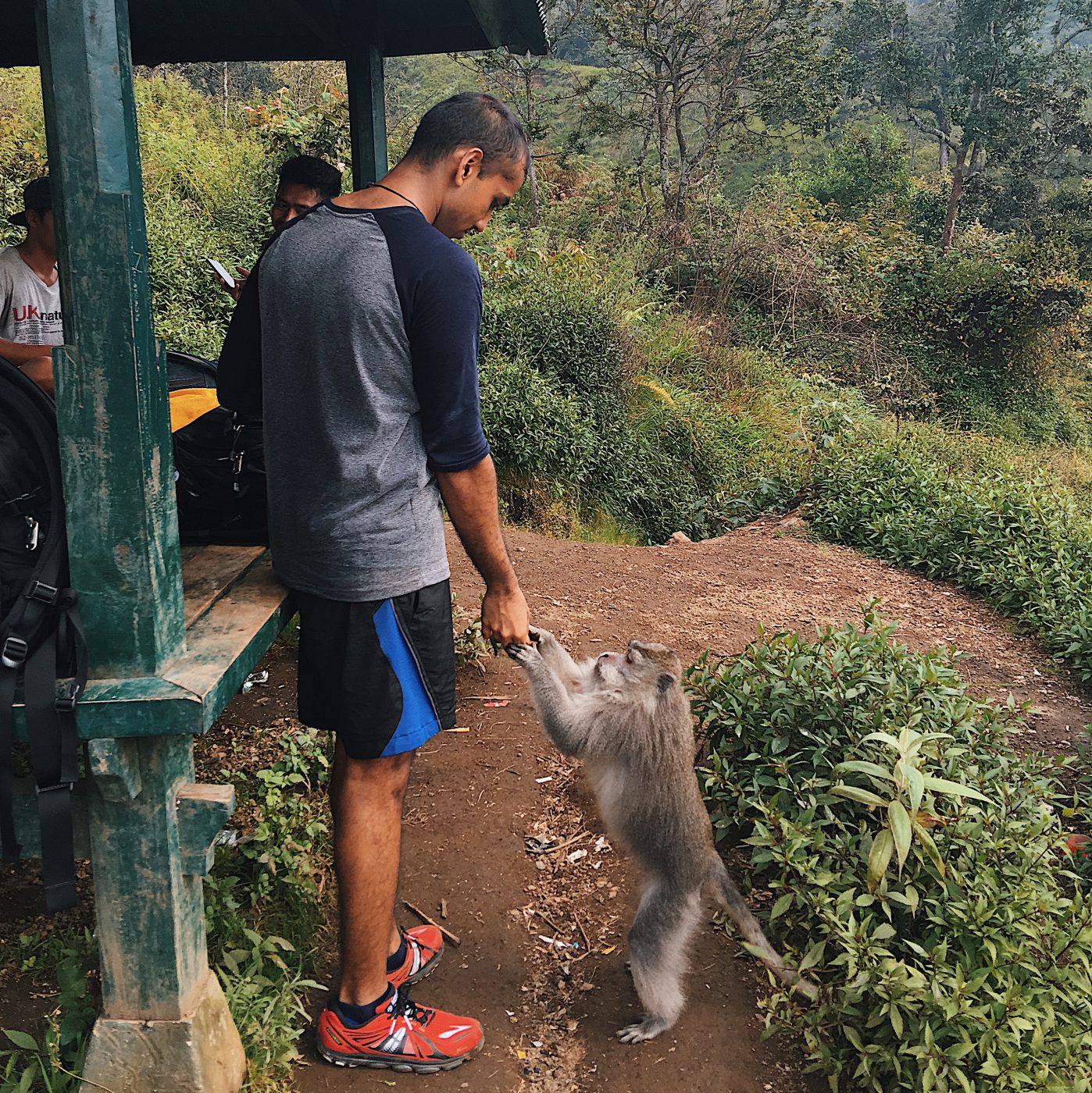 Mount Rinjani Trekking