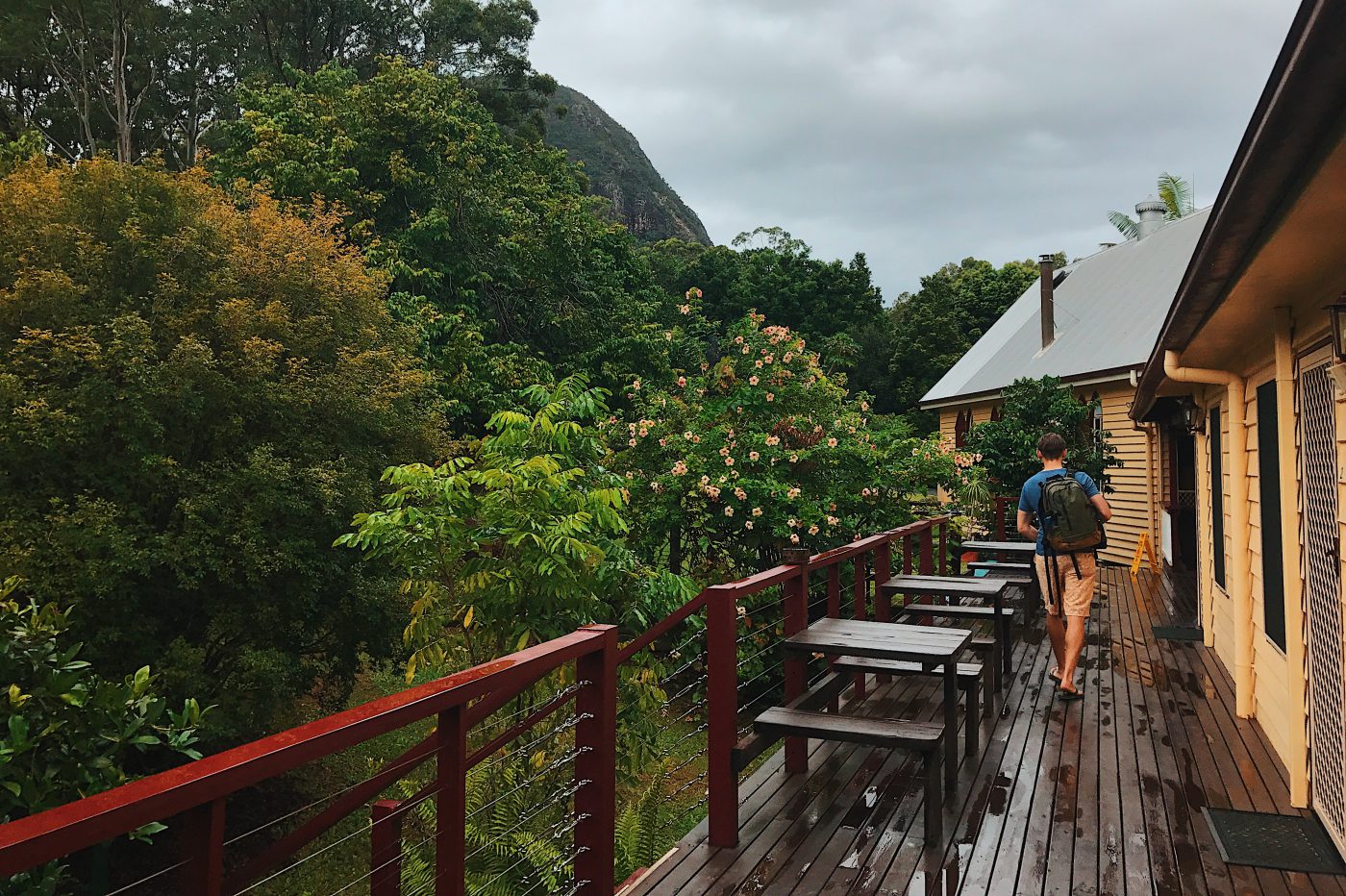 sunshine coast hinterland tourist drive