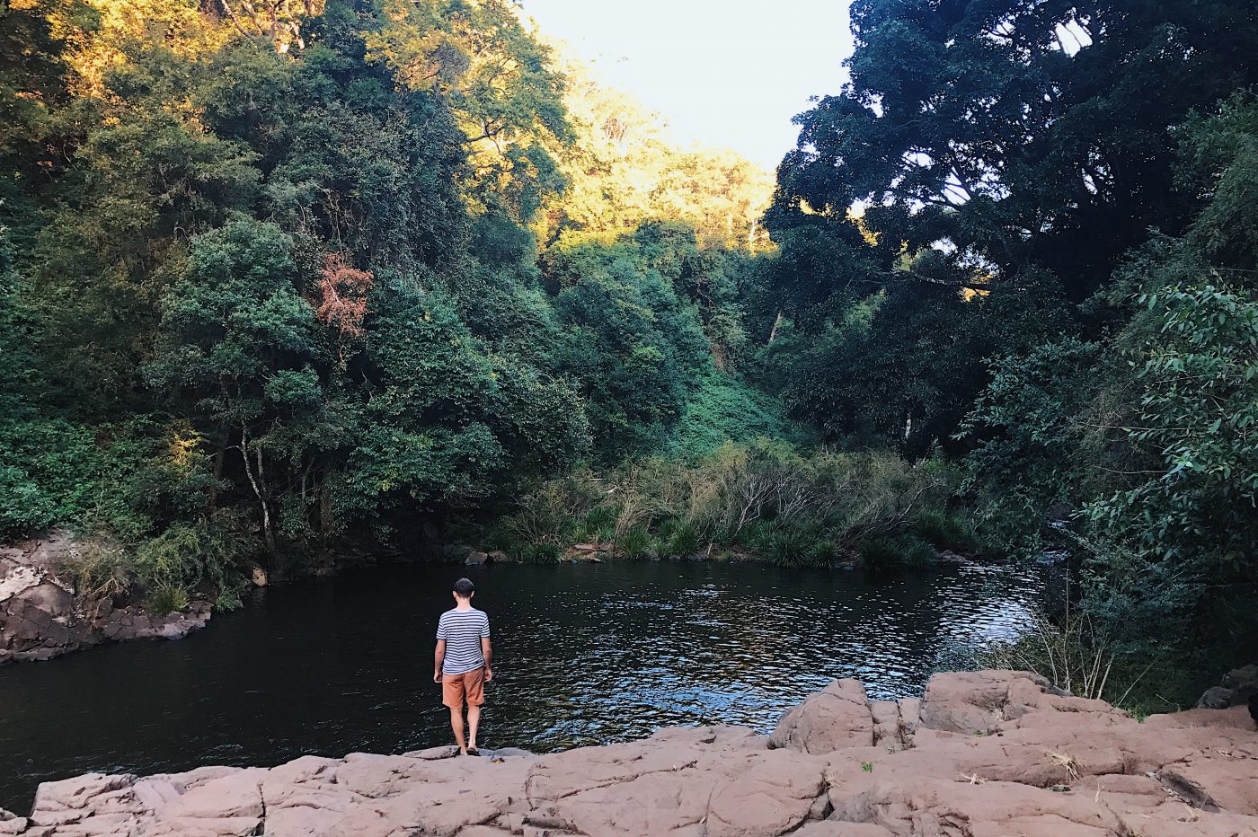 sunshine coast hinterland tourist drive