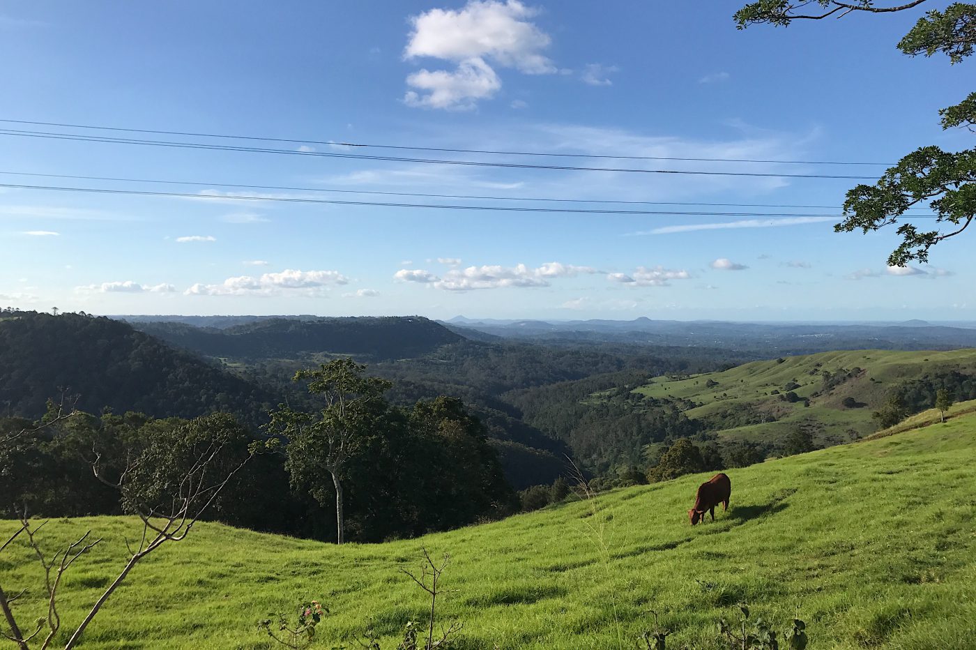 sunshine coast hinterland tourist drive