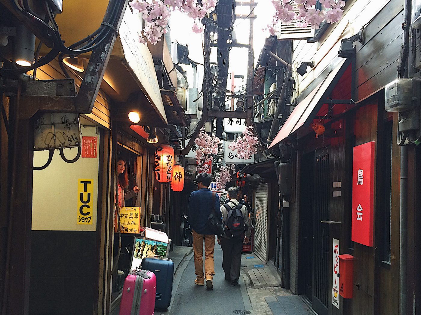 Tokyo Itinerary - Omoide Yokocho