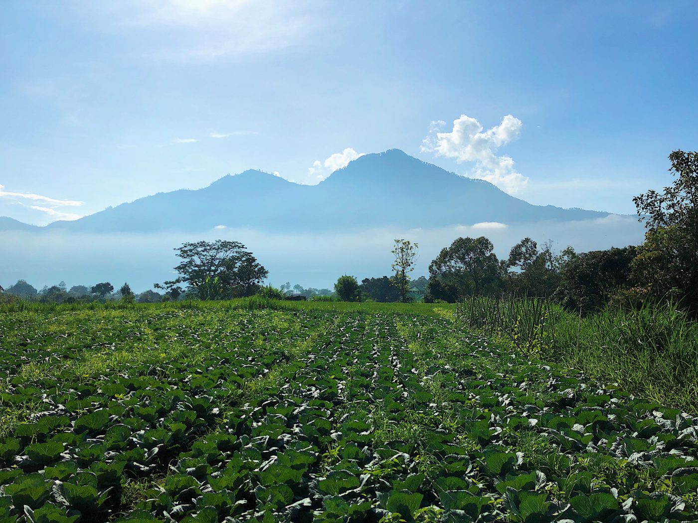 Mount Batur Sunrise Trekking