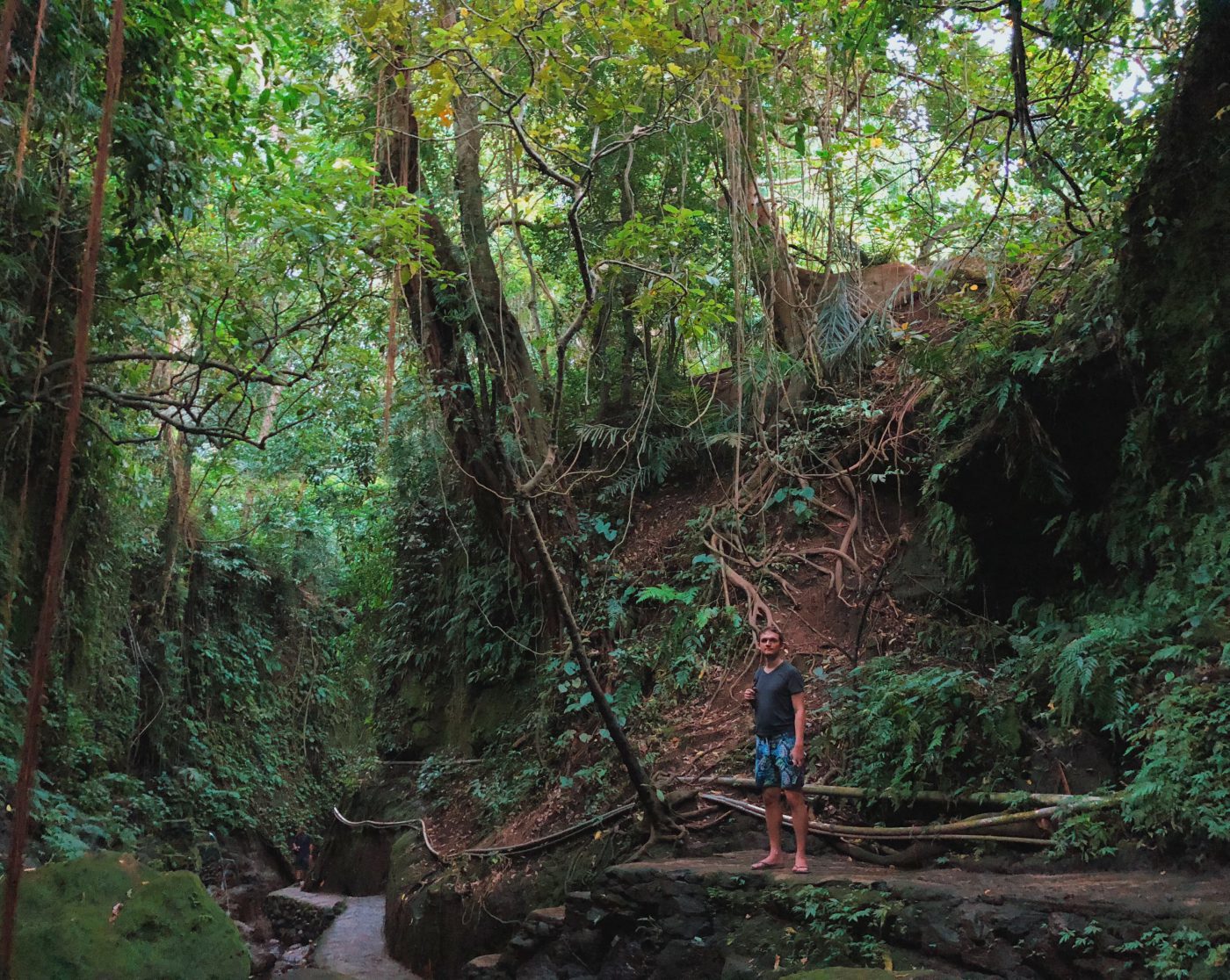 Sacred Monkey Forest Sanctuary in Ubud