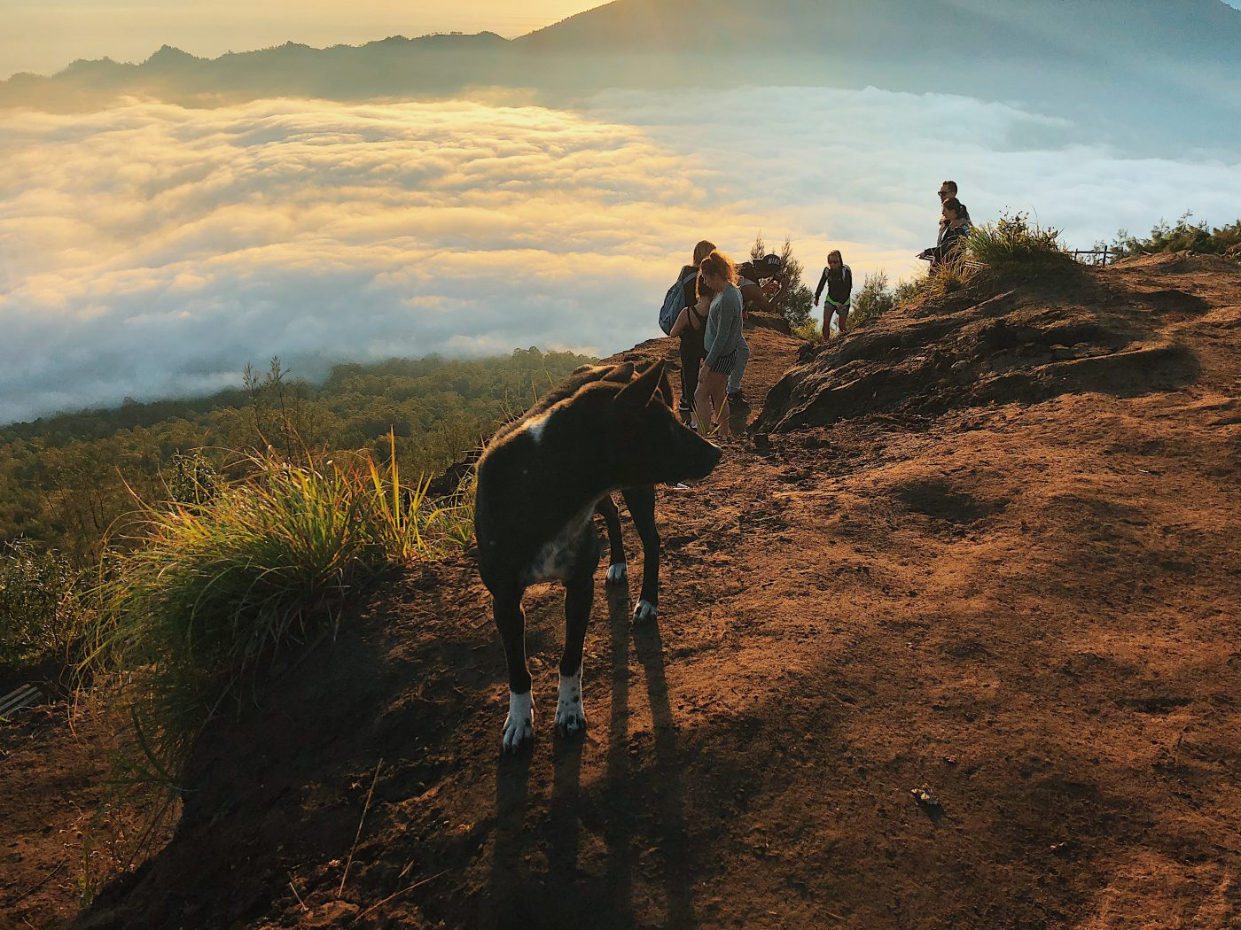 Mount Batur Sunrise Trekking