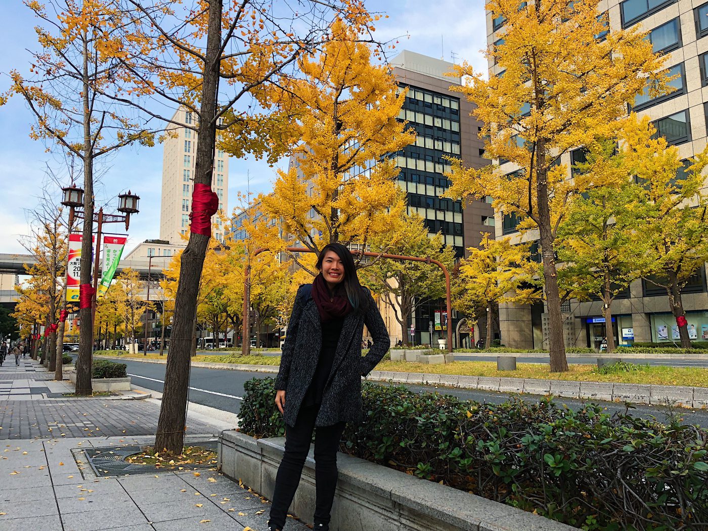 Yellow Ginko Trees along Osaka Shinsaibashi station