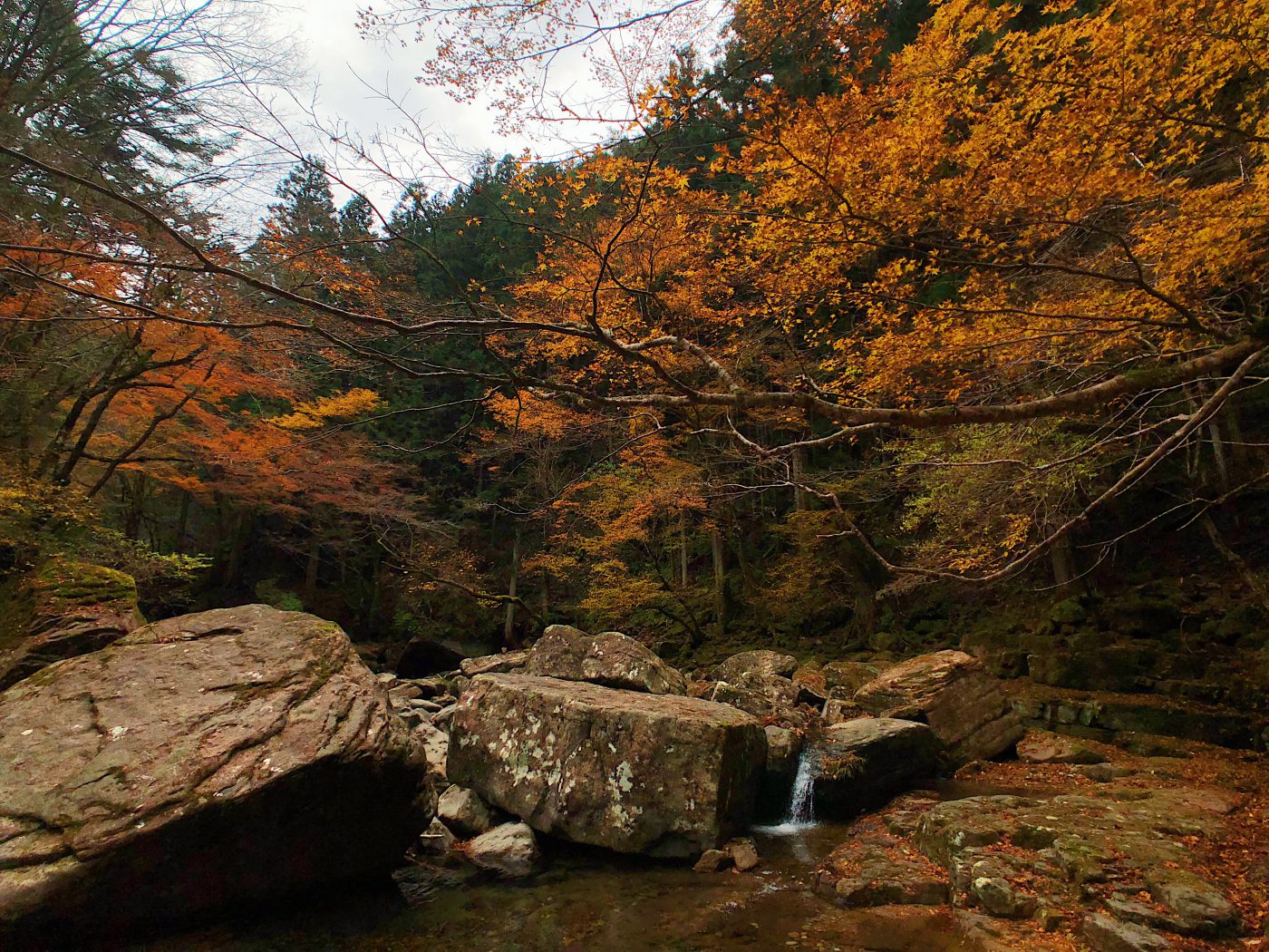 Akame 48 Waterfall