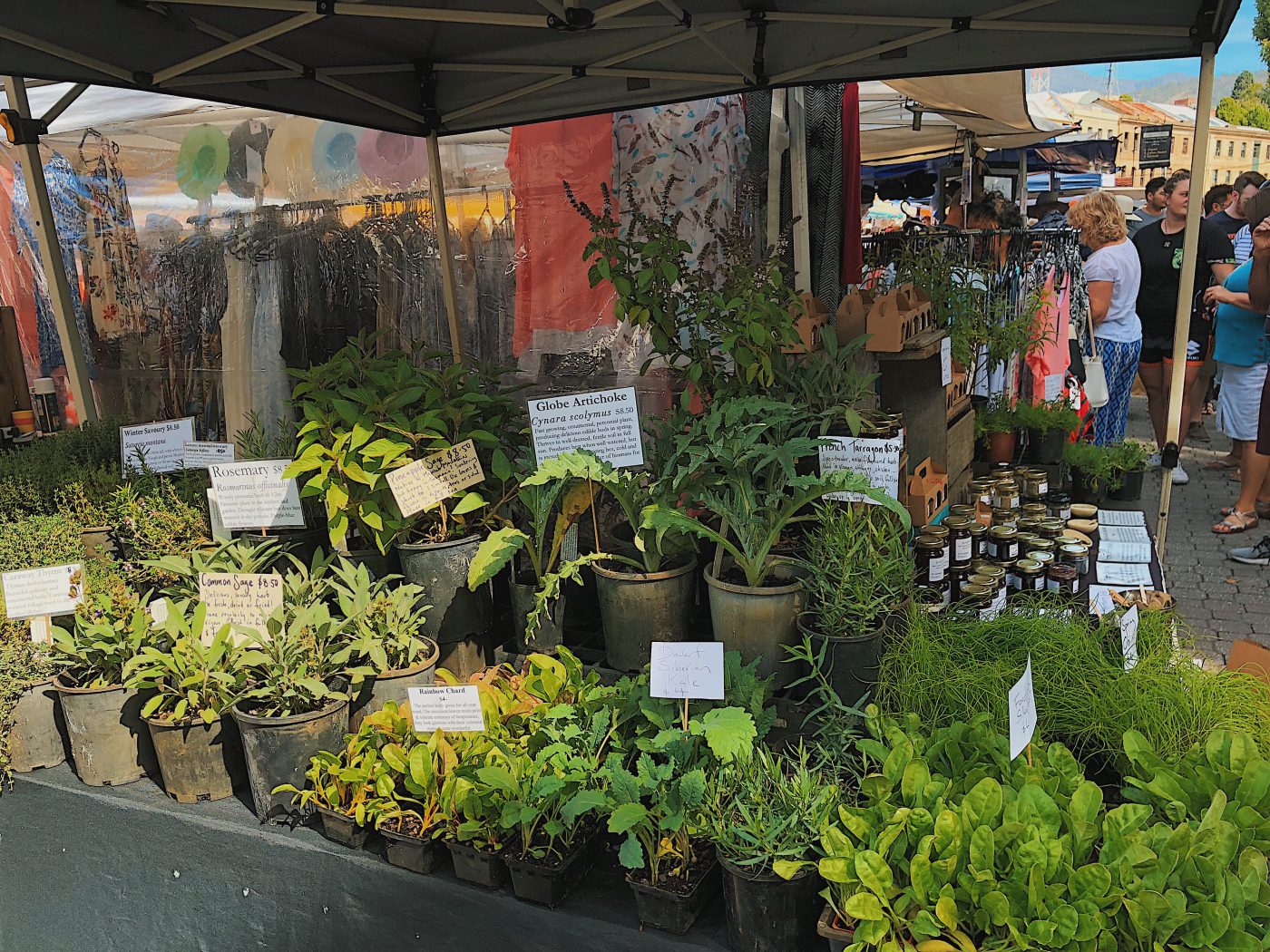 Fresh herbs at Salamanca Market