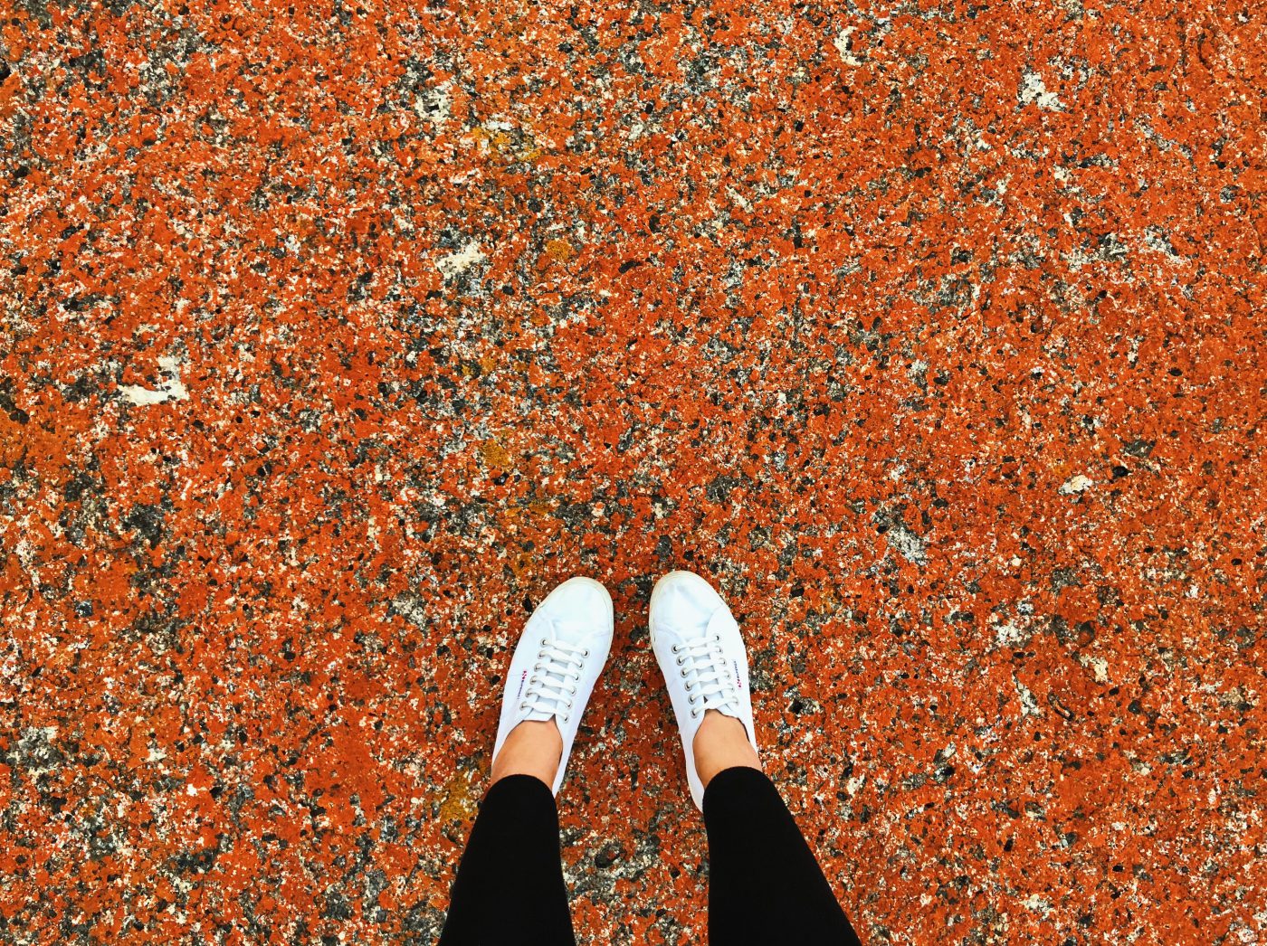 Lichen algae on granite at Bicheno