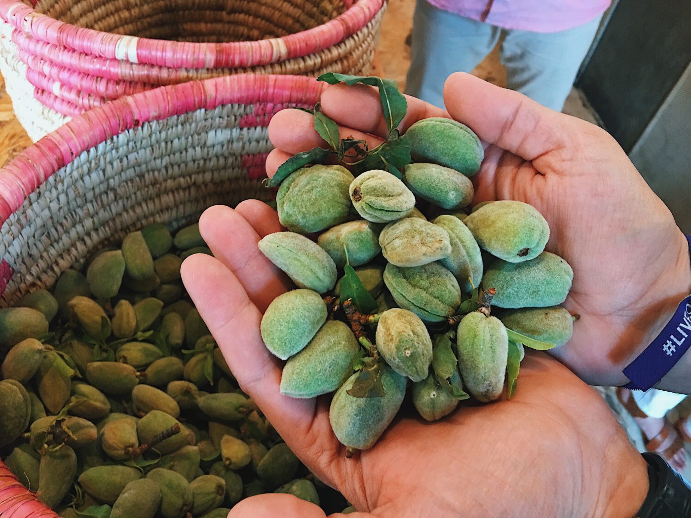 Jordanian Food: Green Almonds in Jordan