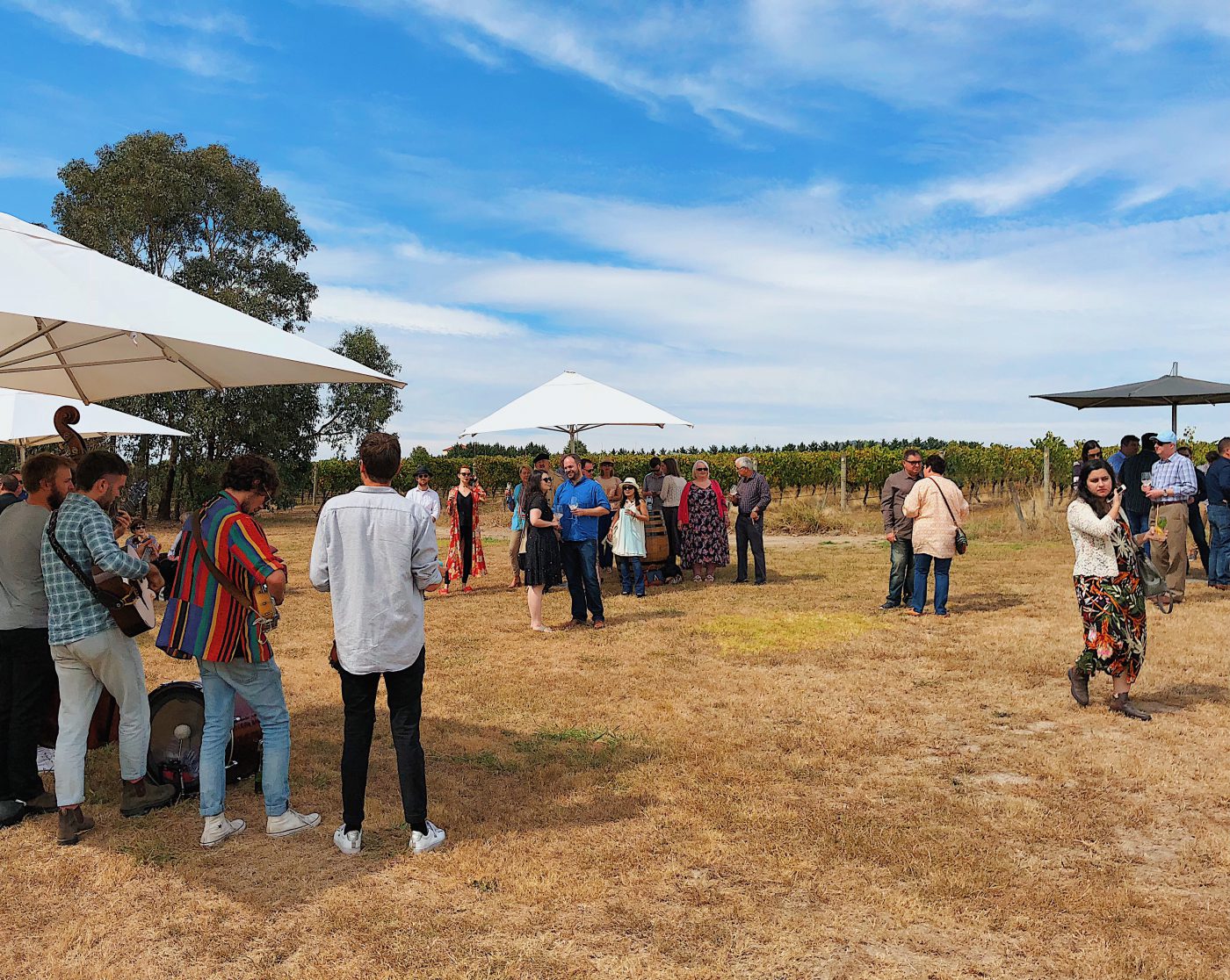 hors d'oeuvres at the vineyard