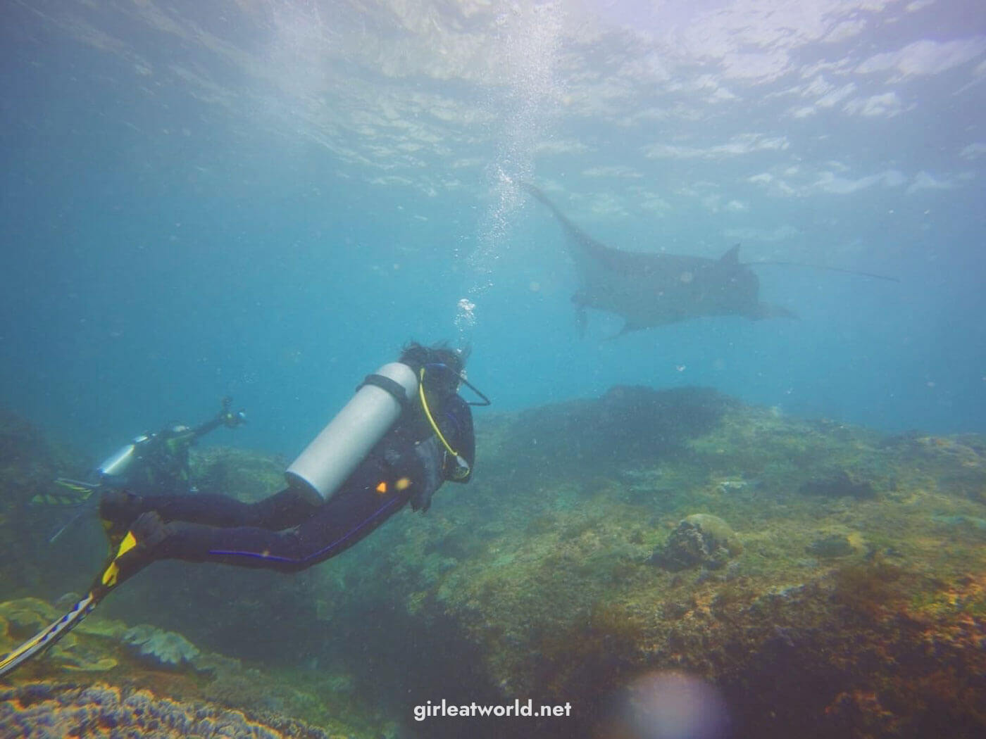Diving at Manta Point, Nusa Penida