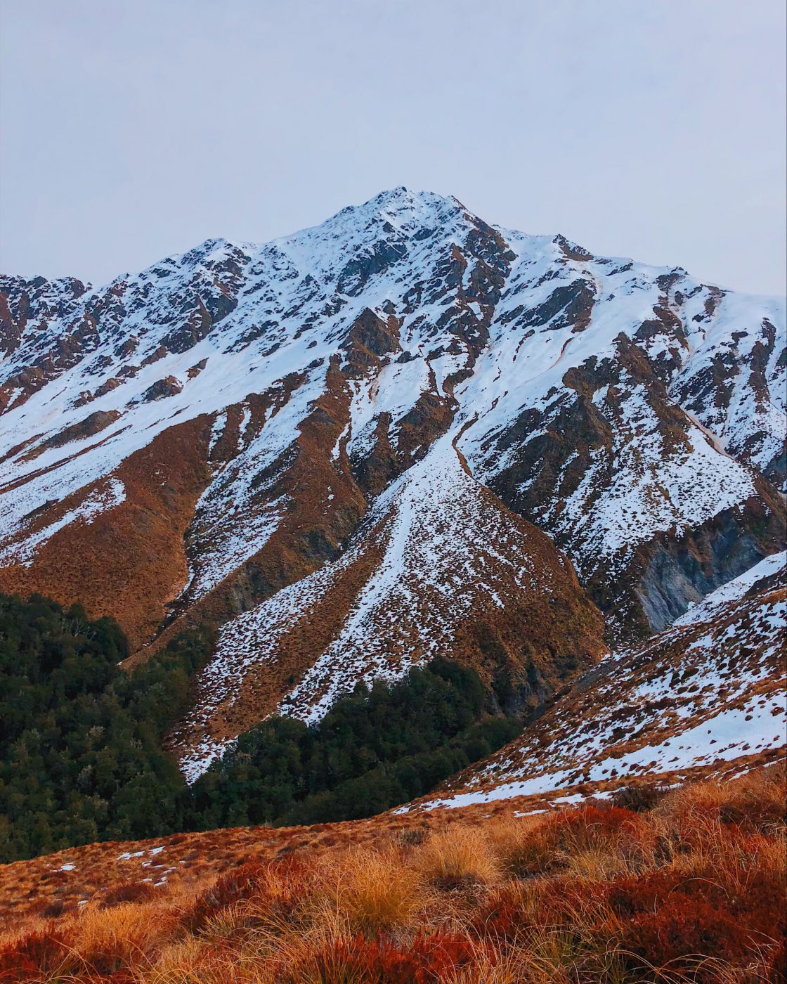 Ben Lomond Track - 