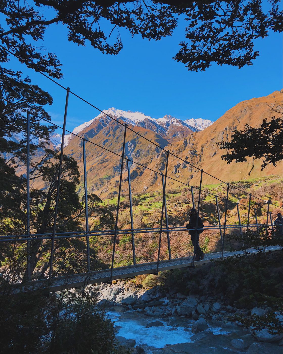 Rob Roy Glacier Track: Crossing the swing bridge into Rob Roy Track