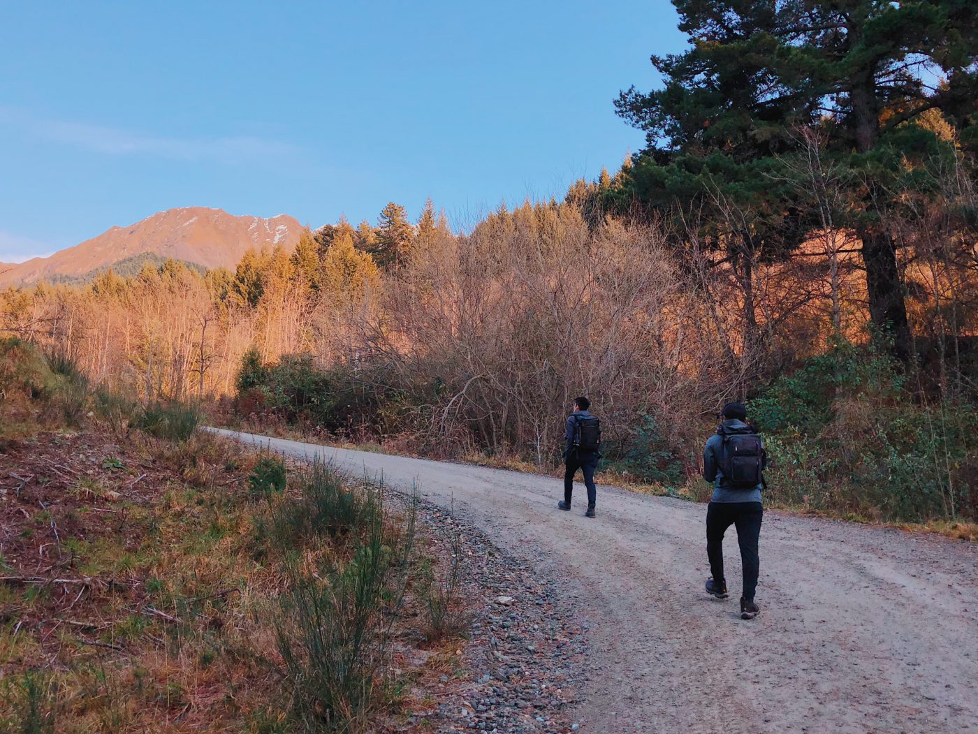 Ben Lomond Track - Starting the hike from Lomond Crescent