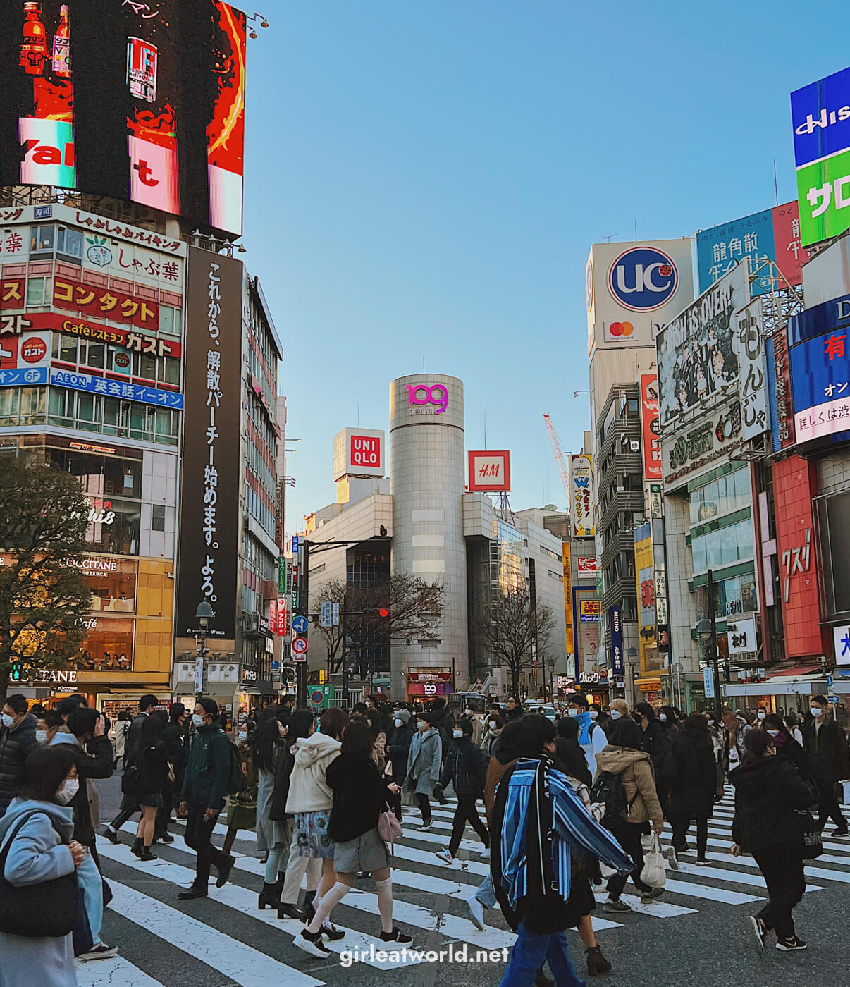 Tokyo Itinerary - Shibuya Scramble