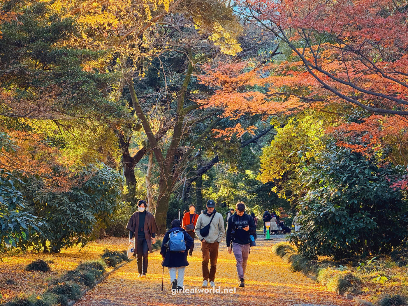 Tokyo Itinerary: Shinjuku Gyoen