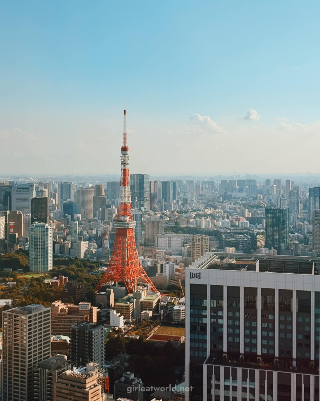 Tokyo Tower from Tokyo Node in Toranomon Hills