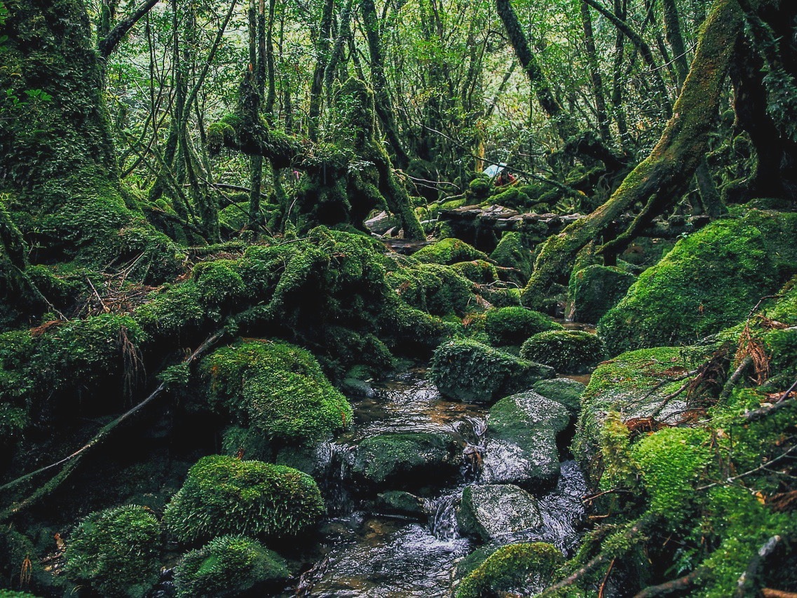 Yakushima