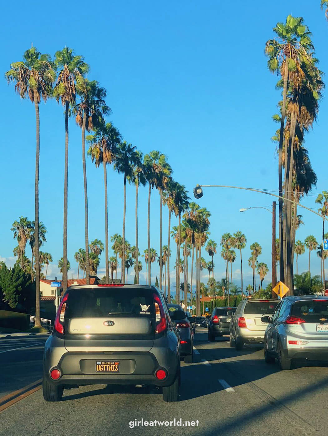 Los Angeles Itinerary - Palm Trees in LA