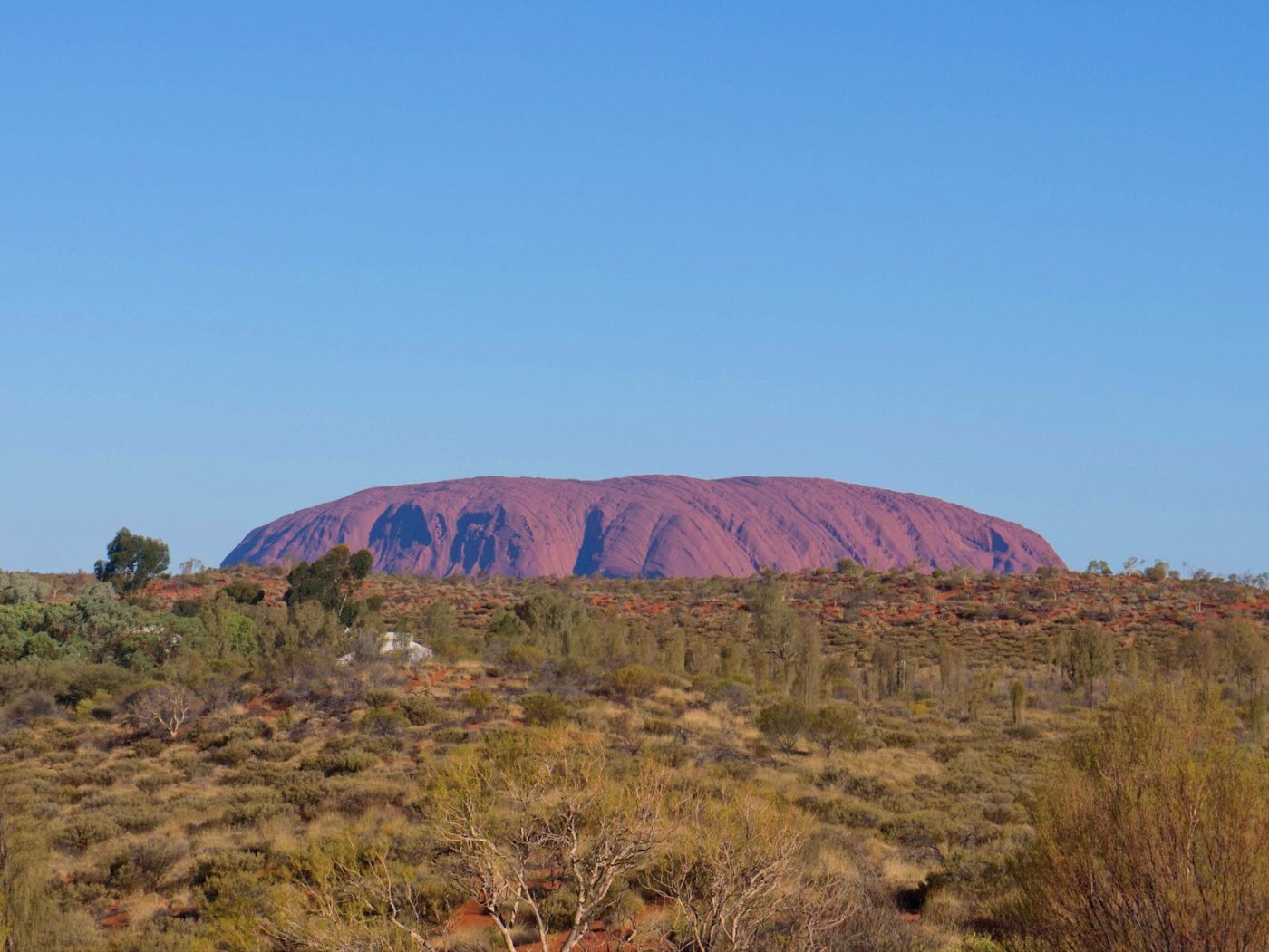 Uluru as seen from Yulara