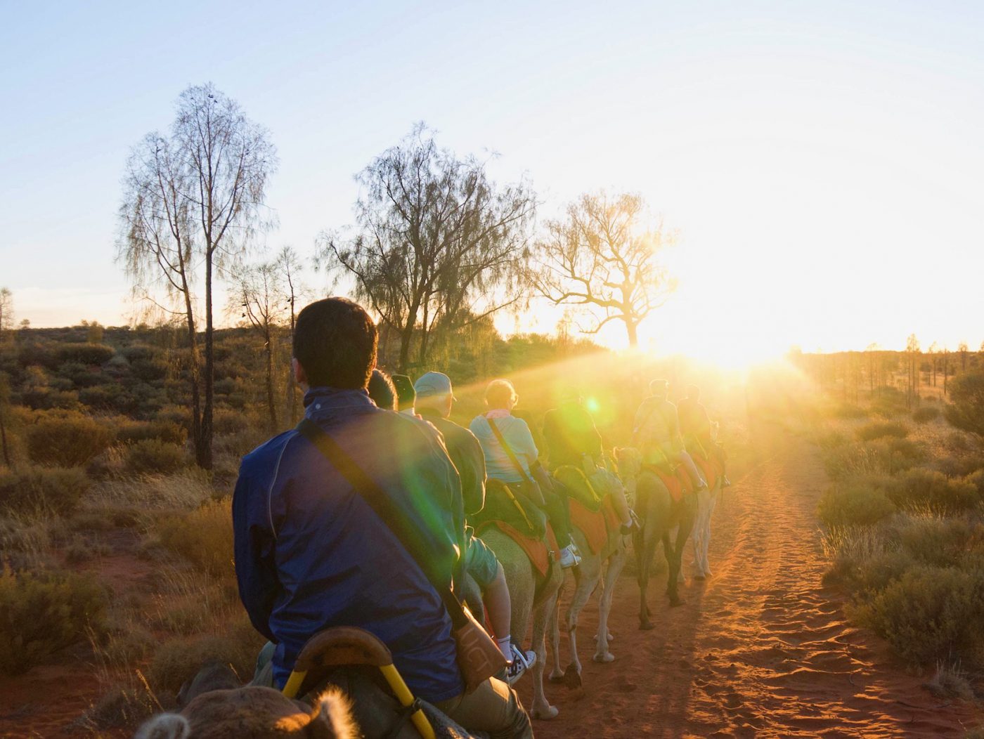 Uluru Sunrise Camel Tour