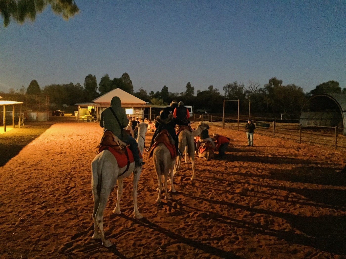 Riding the camel to sunrise route