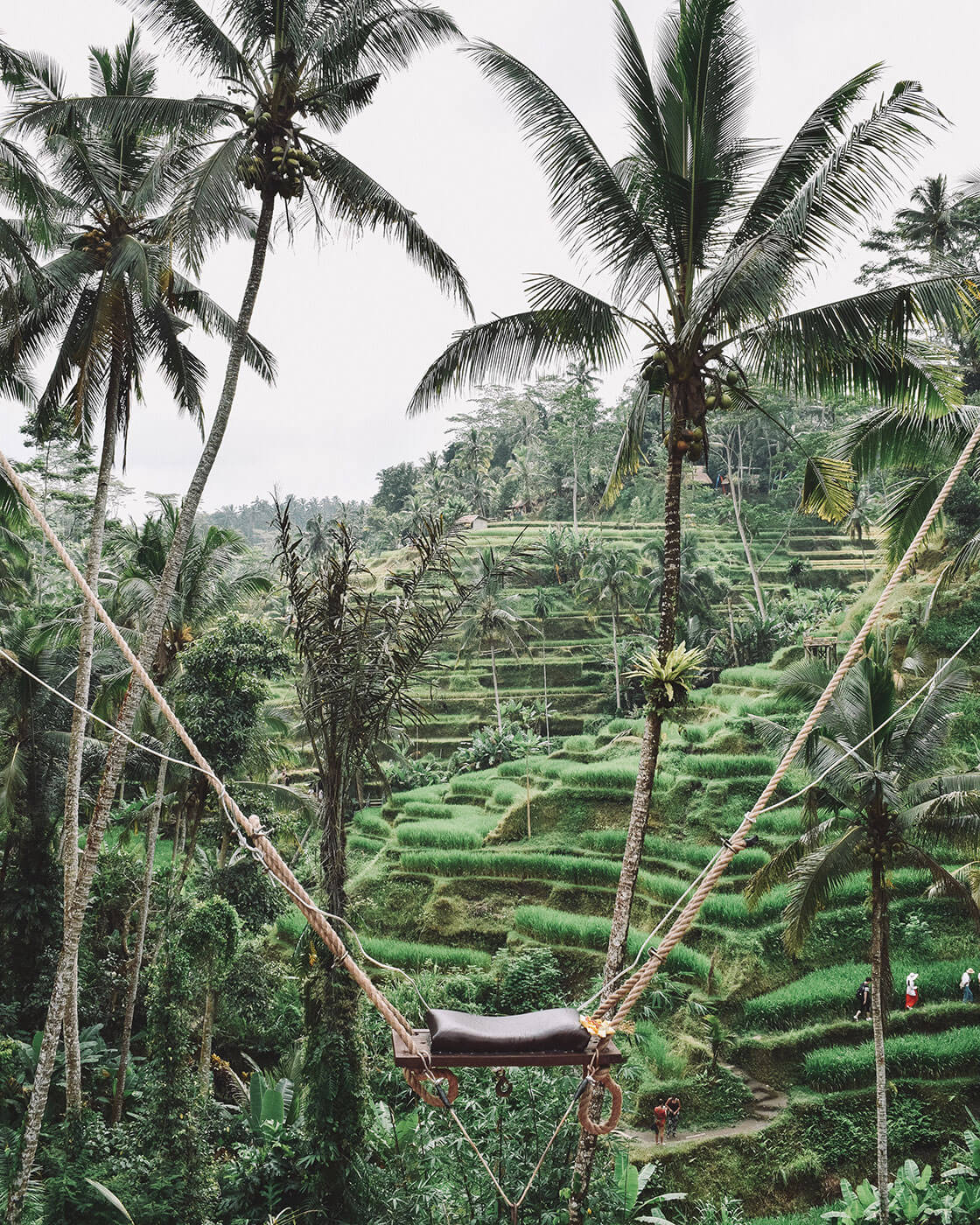Bali Swings in Ubud