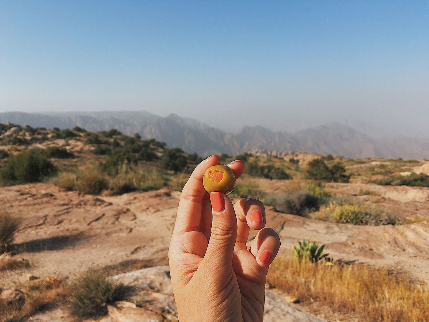 Jordanian Food: Olives for breakfast in Dana