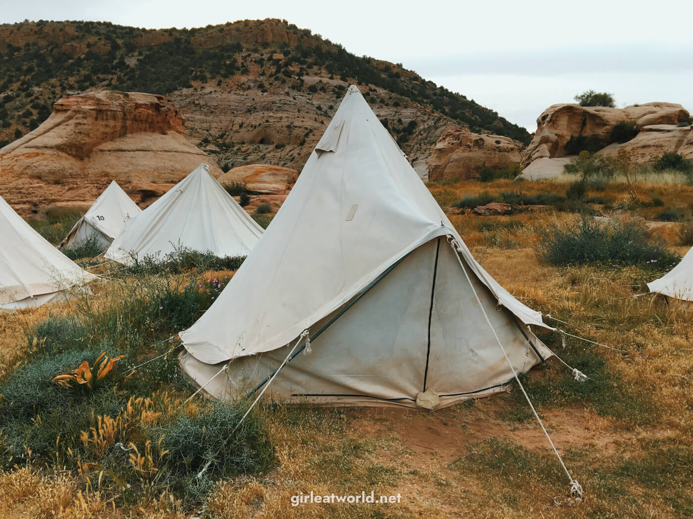 Dana Nature Desert in Jordan