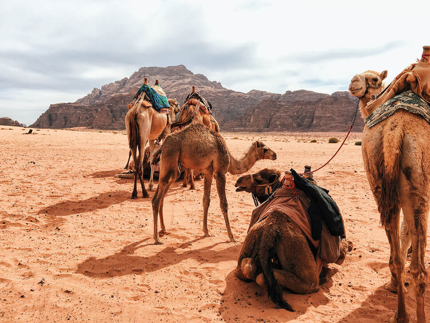 Camel camp in Wadi Rum, Jordan