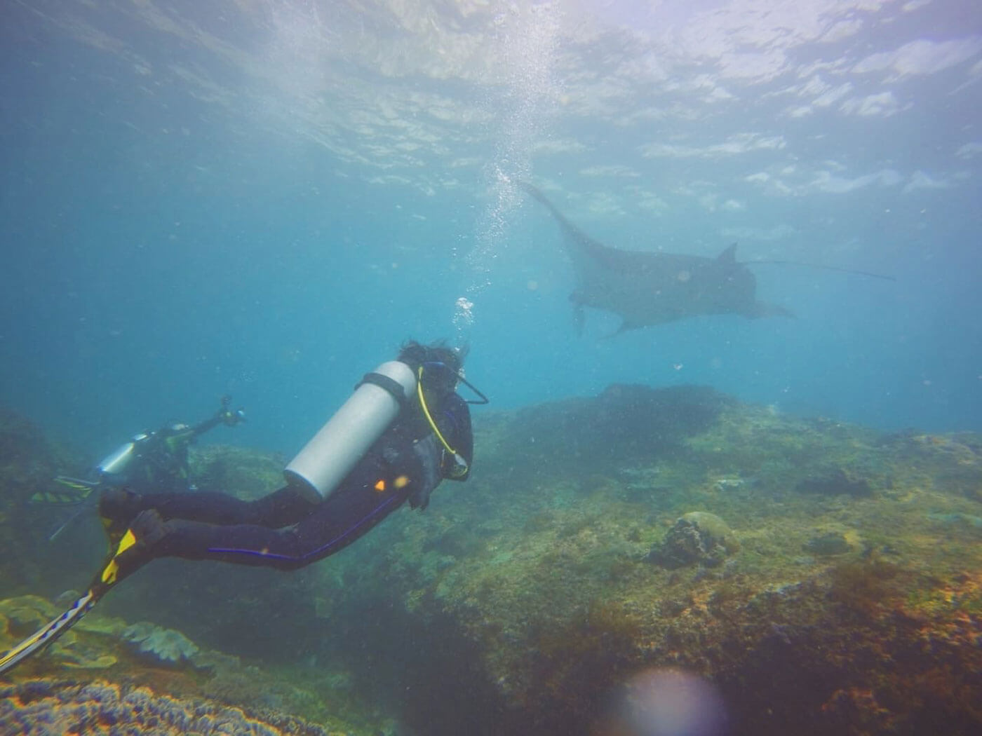 Diving at Manta Point, Nusa Penida