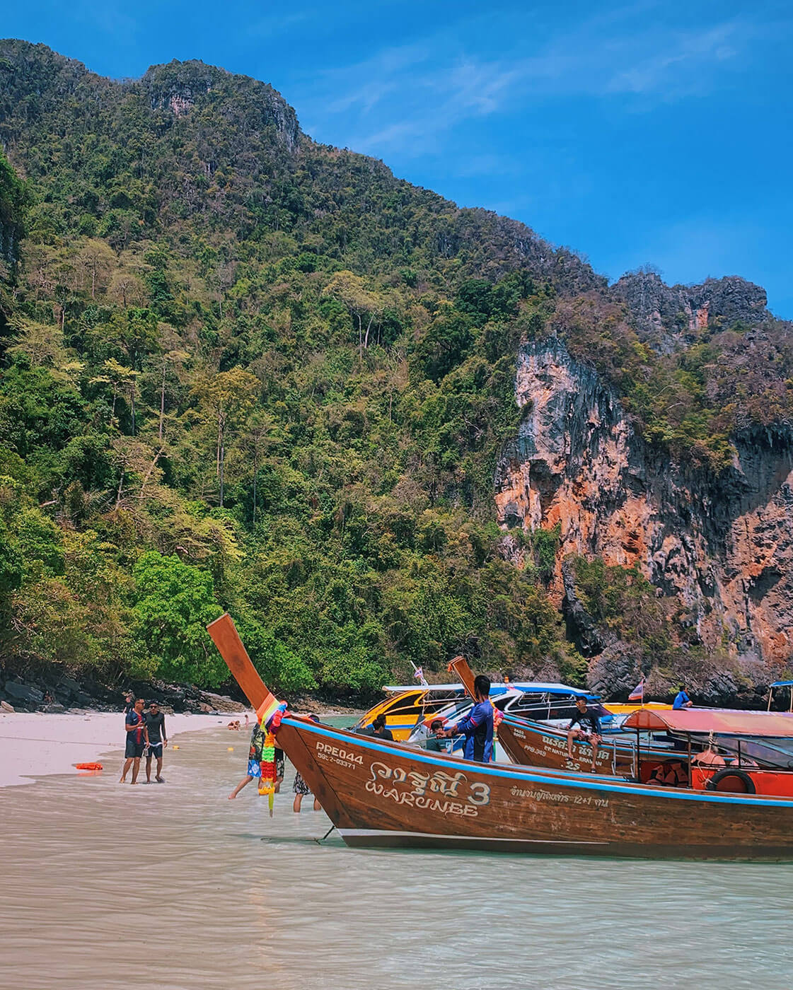 Monkey Bay on Phi Phi Island