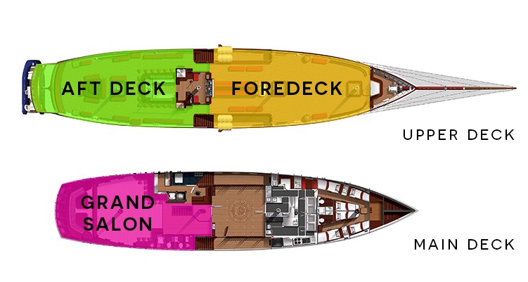 Royal Albatross Layout