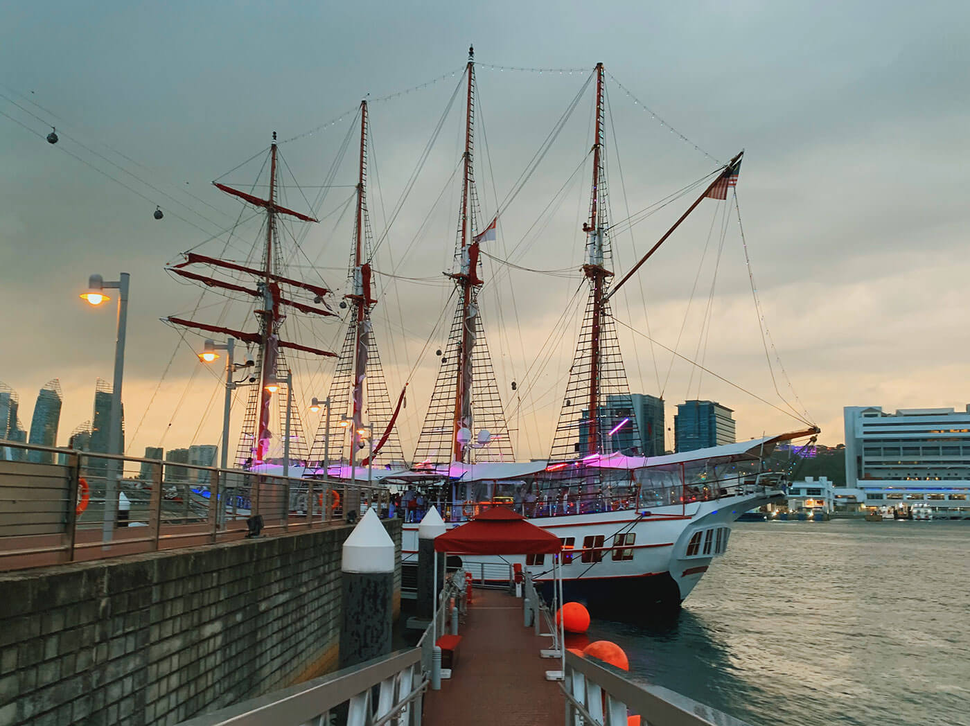 Royal Albatross in Singapore