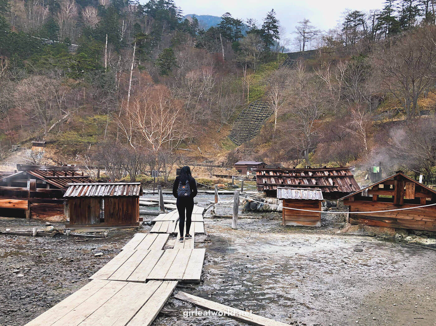 Nikko Yunodaira Marsh