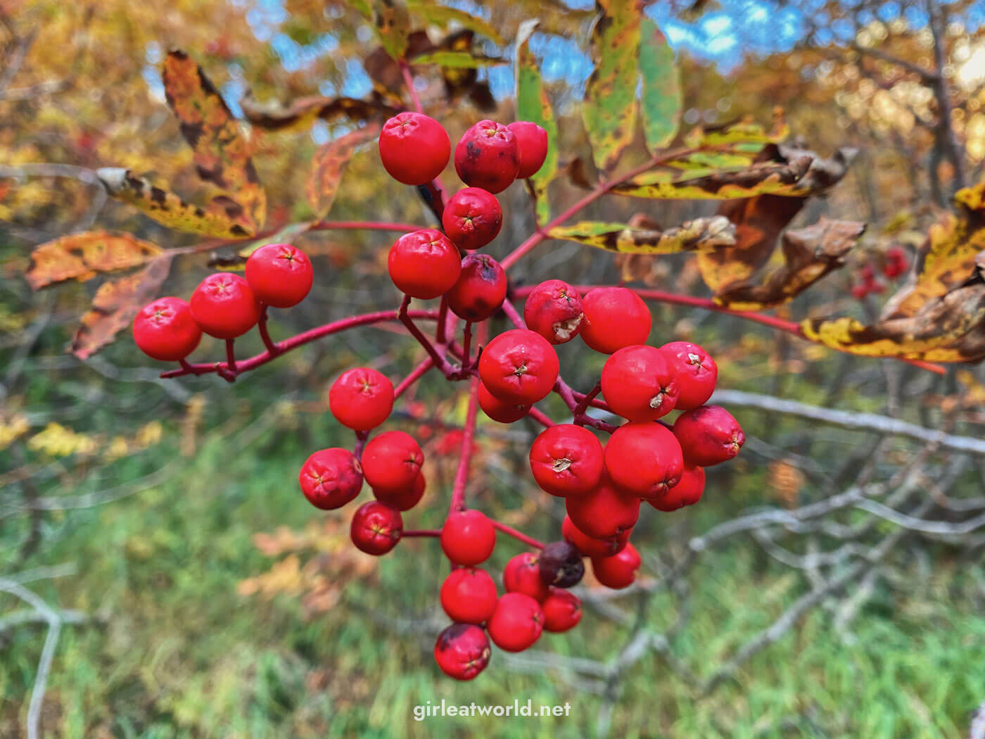 Kamikochi Trekking