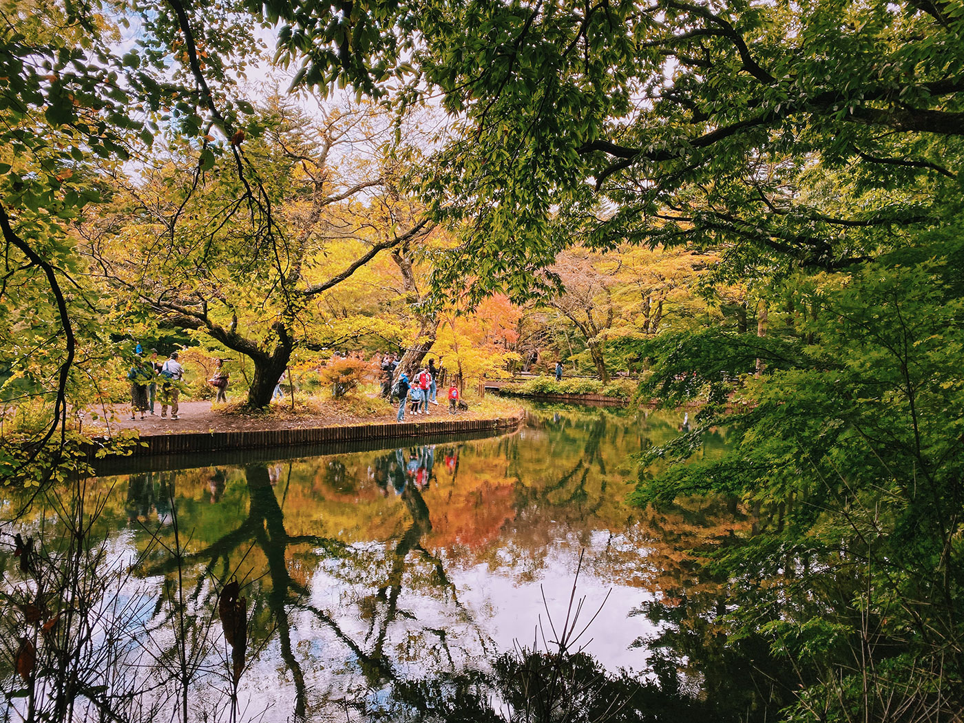 Kumabo Pond in Karuizawa