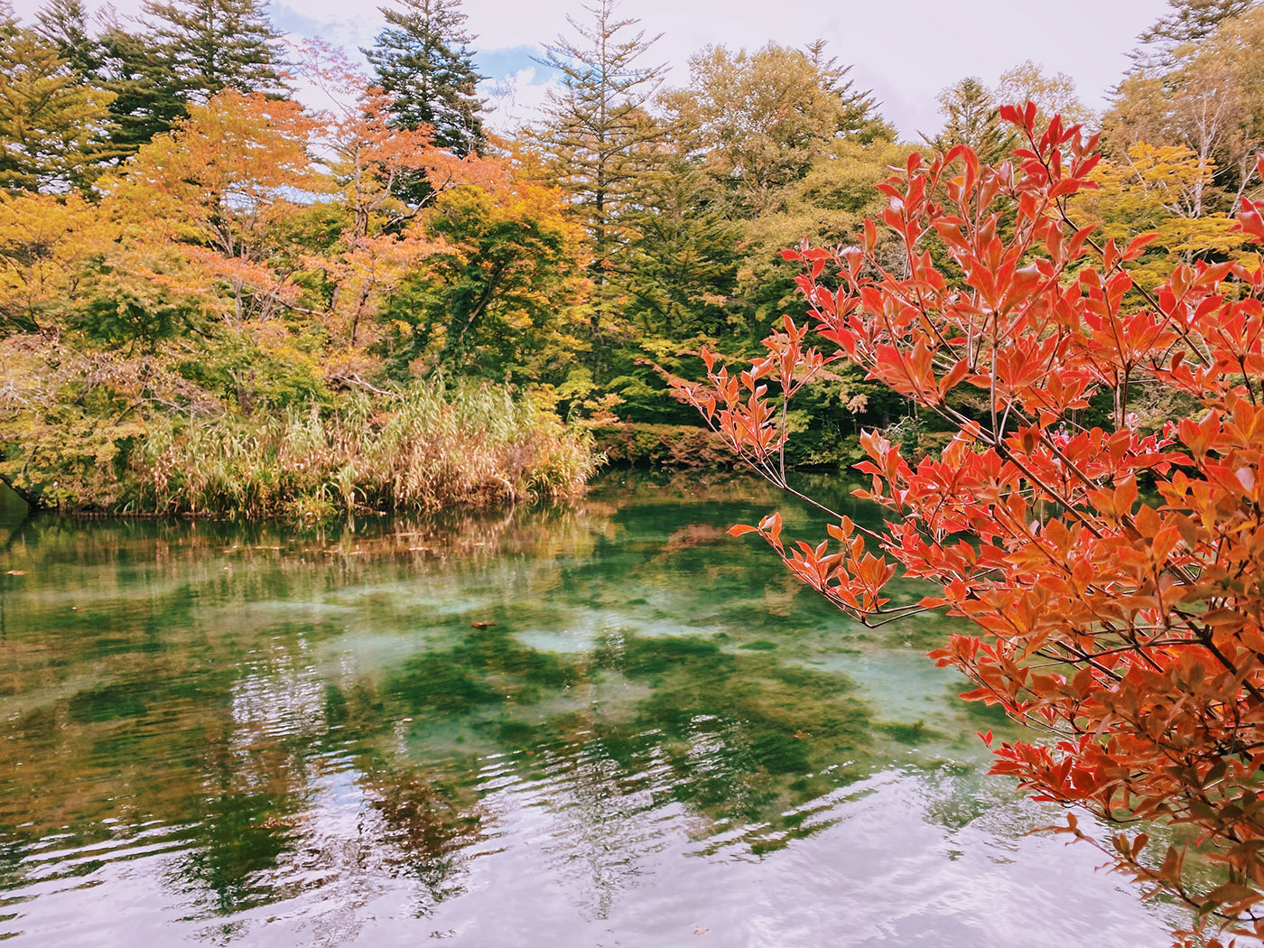 Kumabo Pond in Karuizawa