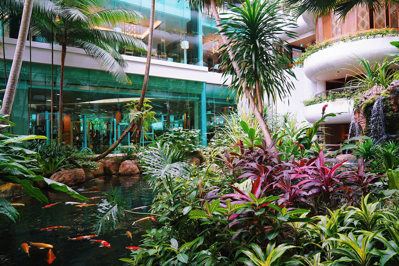 Koi Pond at Shangri-la Orchard